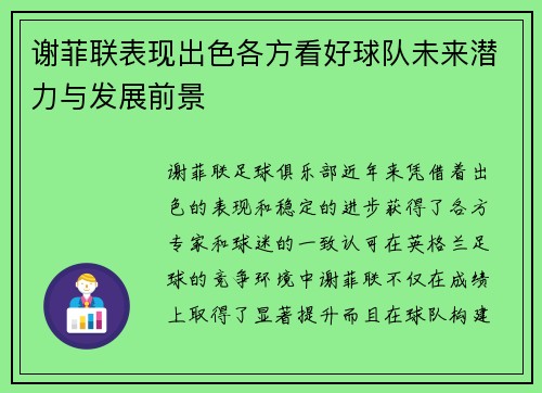 谢菲联表现出色各方看好球队未来潜力与发展前景 谢菲联表现出色各方看好球队未来潜力与发展前景