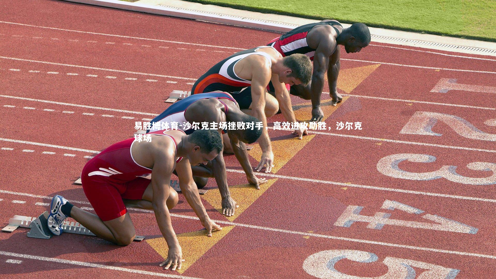 沙尔克主场挫败对手,高效进攻助胜,沙尔克球场