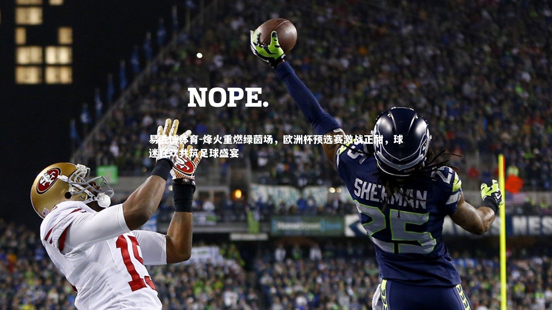 烽火重燃绿茵场,欧洲杯预选赛激战正酣,球迷狂欢共筑足球盛宴